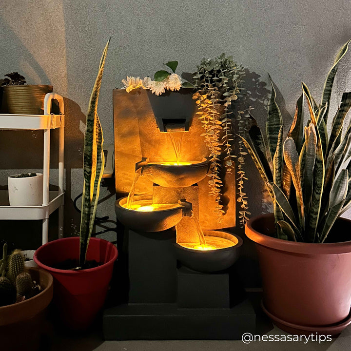 Outdoor fountain with soft lights as the sun is going down and getting darker. Potted plans surround the fountain. 
